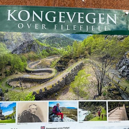 Mjosvang Kafe Vang I Valdres Luaran gambar